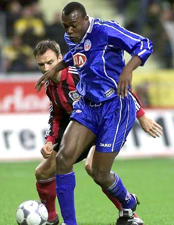 国际友人参 国际友人参