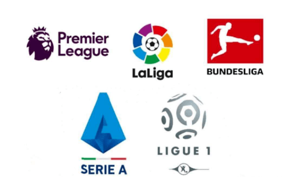 也为球迷展 也为球迷展